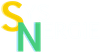 SYSNERGIE logo